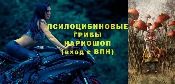 стафф Володарск