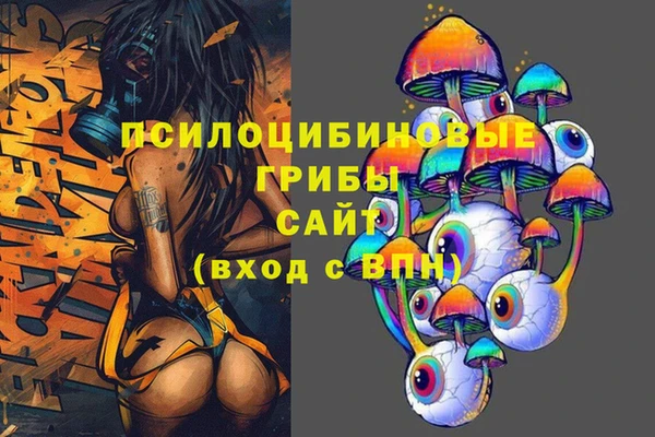 дурь Верхний Тагил