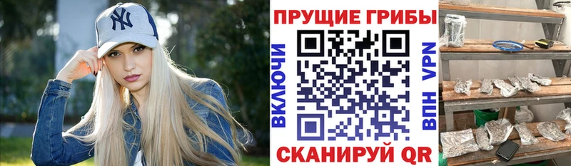 гидра ссылка что такое наркотик Рубцовск Псилоцибиновые грибы прущие грибы